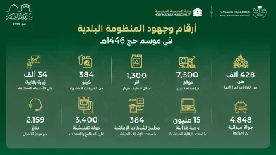 MOMAH: Successful Implementation of Municipal Services Plan for the 1446H Hajj Season