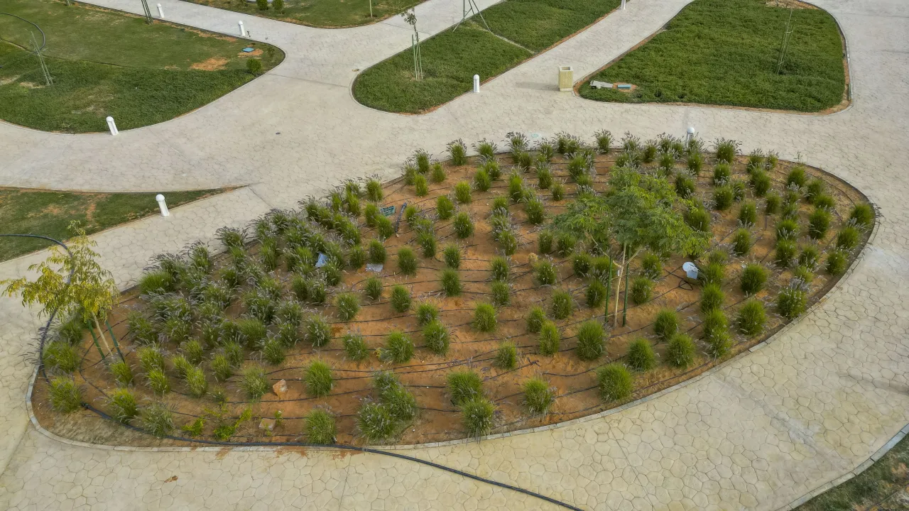 MOMRAH to Plant Over 1.3 Million Trees in Residential Areas to Help Achieve Saudi Green Initiative Goals